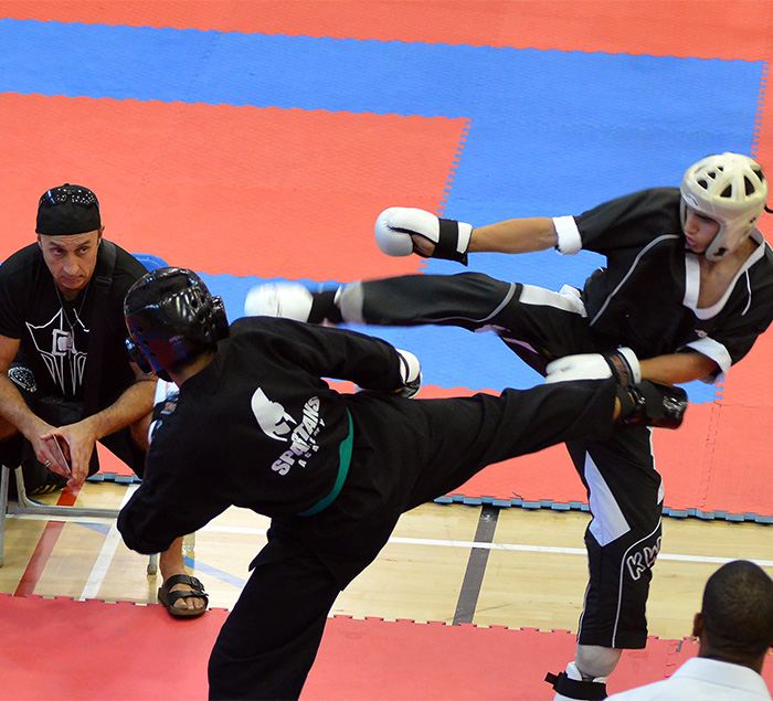 Karate Training