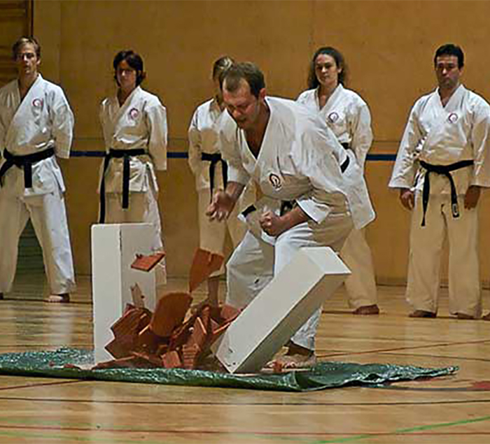 Mukushin Ryu Bujutsu